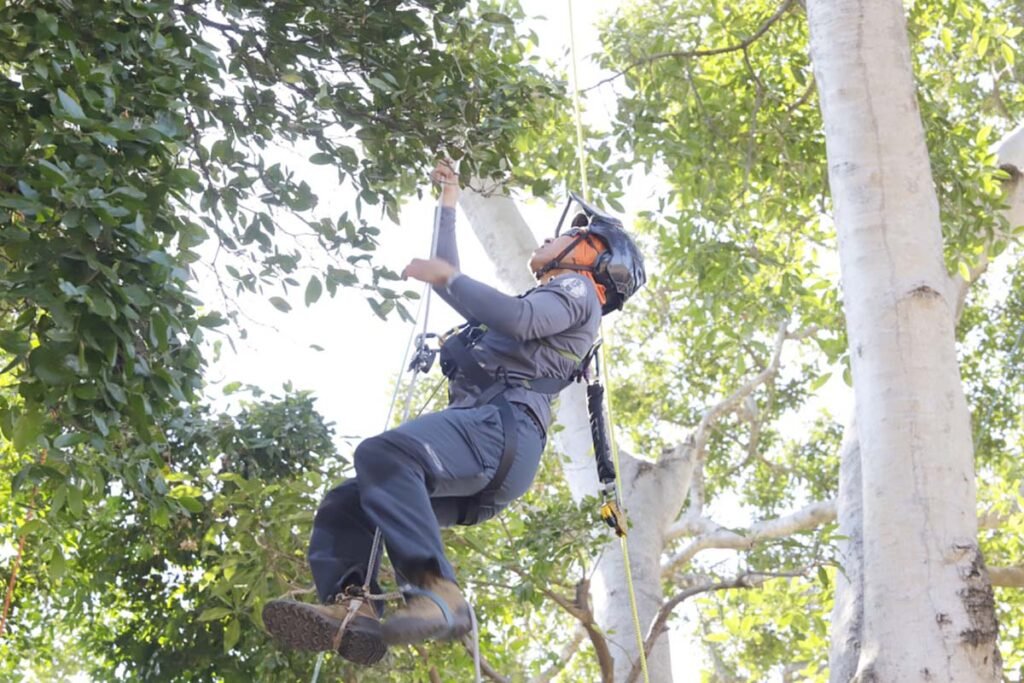 Campeonato Mexicano de Trepa de Arboles Un Exito en Puerto Vallarta 11