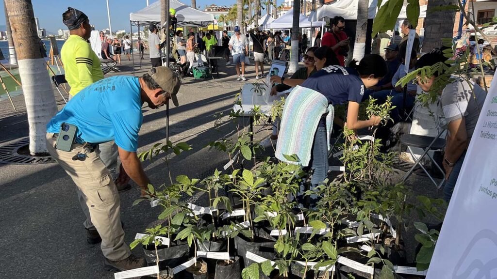 Gobierno del Bien busca que Vallarta sea certificada como una Ciudad Arbol 03