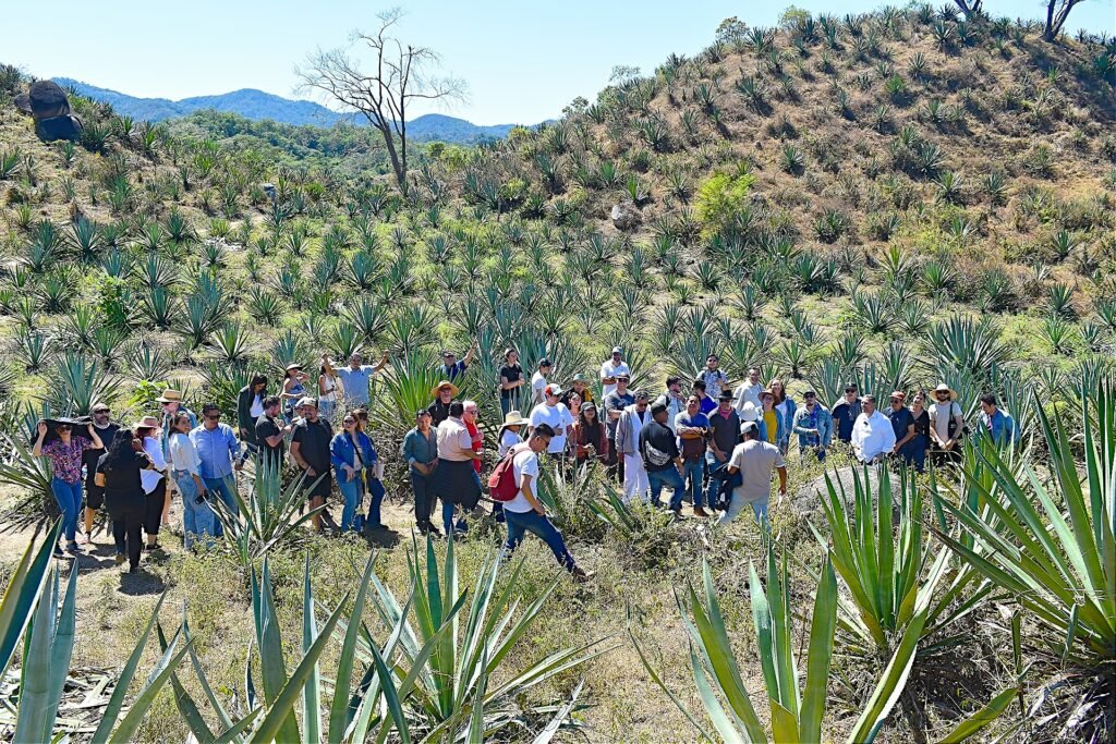 Hacienda el Divisadero0023