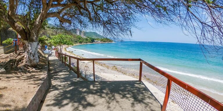 Aprueban obra de rehabilitación para Playa Palmares en Vallarta