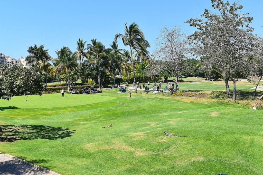 36 Aniversario Golf Marina Vallarta