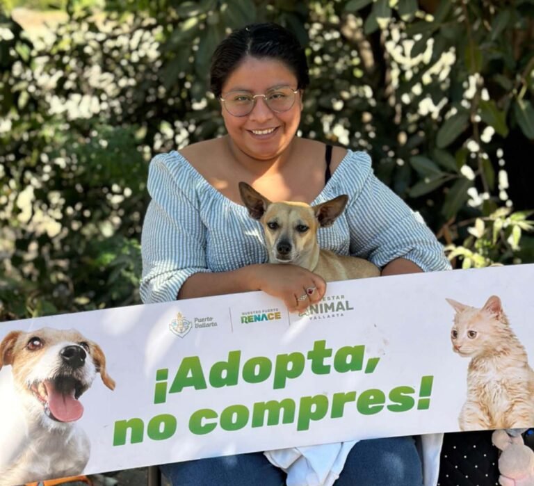 Dirección de Bienestar Animal rompe récord en número de esterilizaciones gratuitas