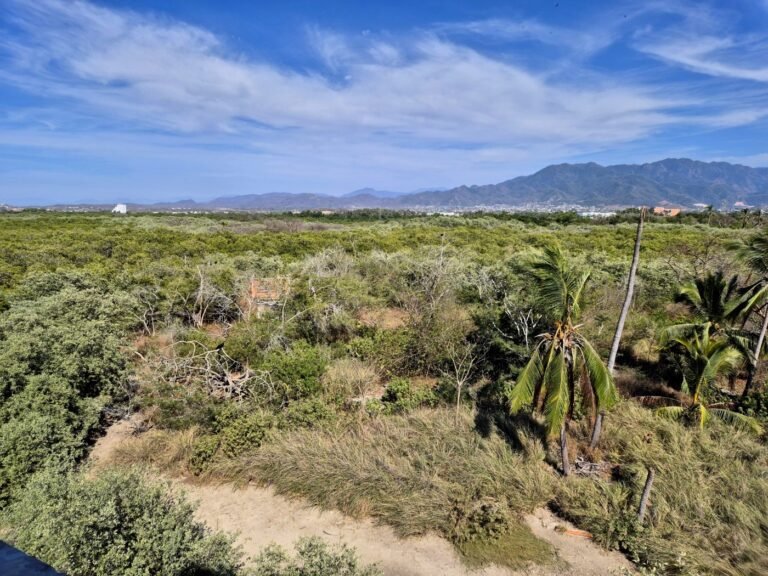 Designan  a 4 especialistas para reactivación del Parque Estatal Estero El Salado