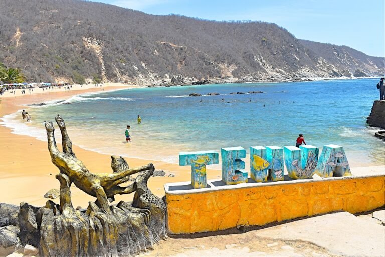 Festival del Ostión Tehuamixtle 2025: una fiesta de sabores en la Costalegre jalisciense