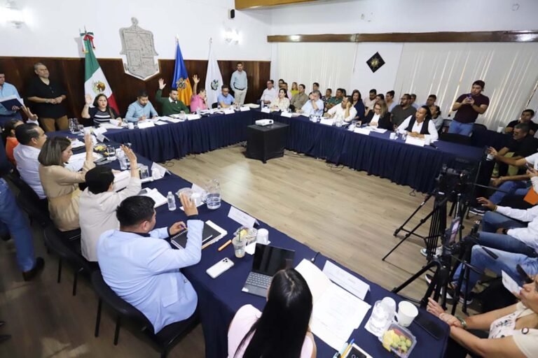 Vallarta se une al Programa de Empedrados para la Reactivación Económica