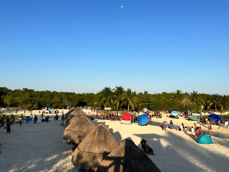 Profepa prepara multioperativo en playas turísticas de 17 estados