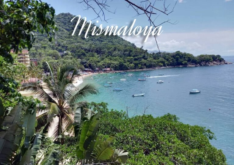 Preocupa a ecologistas y académicos proyecto de «escalera náutica»