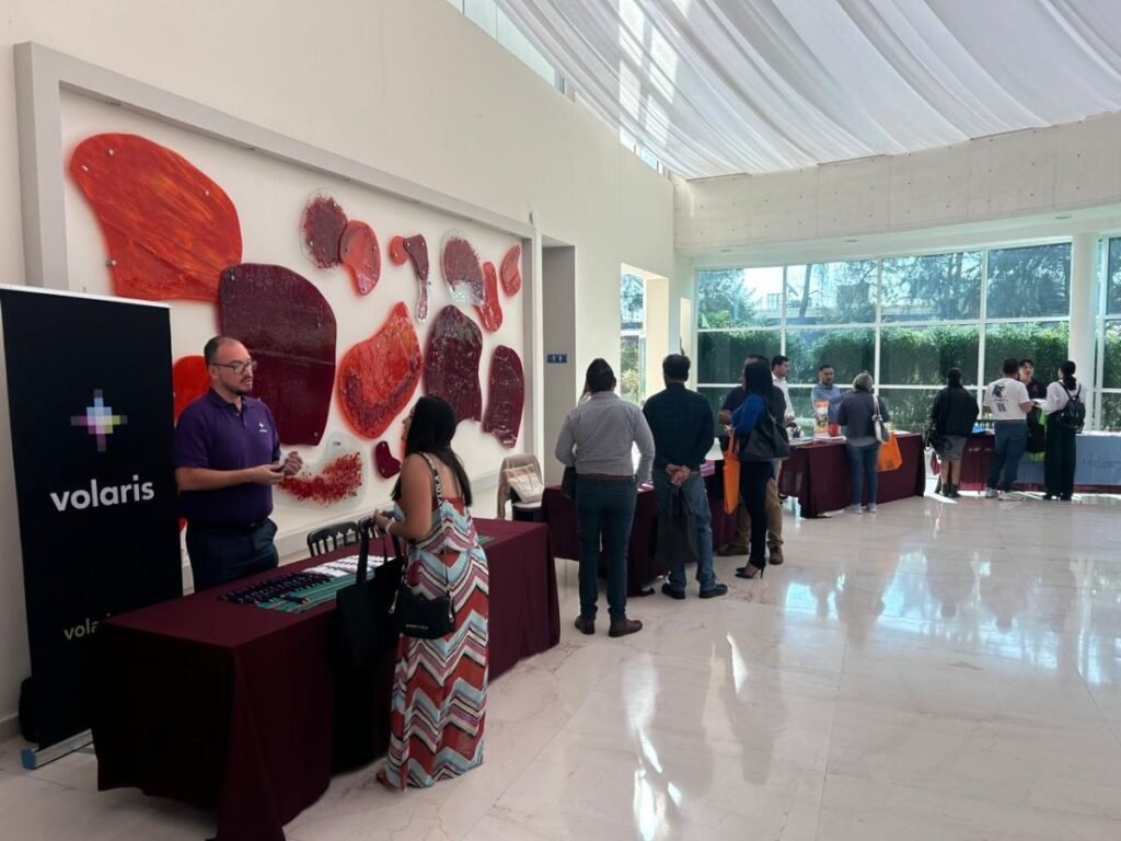 Puerto Vallarta se promociona de cara al verano 2025 2 puerto vallarta promocion verano naturleon 4