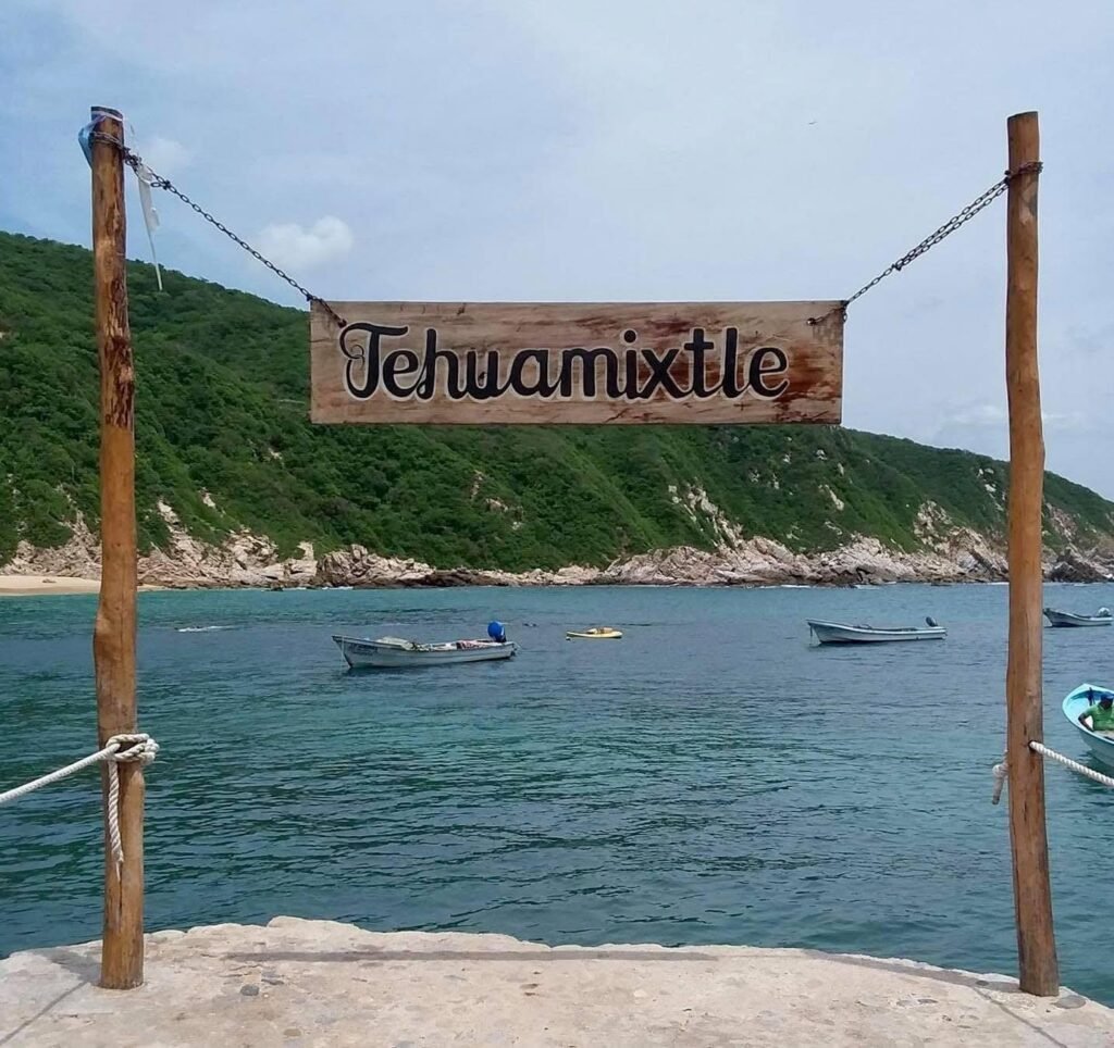 Festival del Ostión Tehuamixtle 2025: una fiesta de sabores en la Costalegre jalisciense 4 tehuamixtle festival del ostion