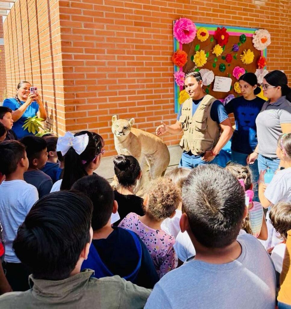 Regresa el “Chiqui Consejo Ambiental” para niñas y niños vallartenses 1 Chiqui Consejo Ambiental 03