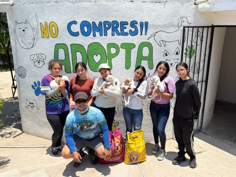 Juventud con causa: estudiantes se suman al bienestar animal en Puerto Vallarta