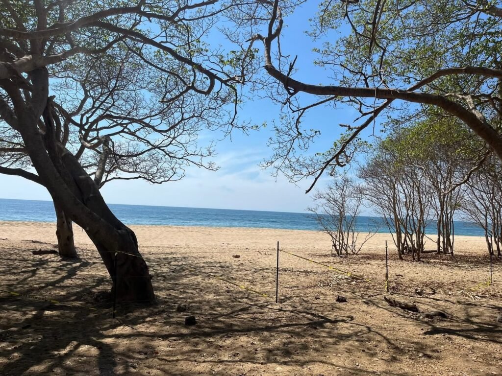 playa malpaso 2