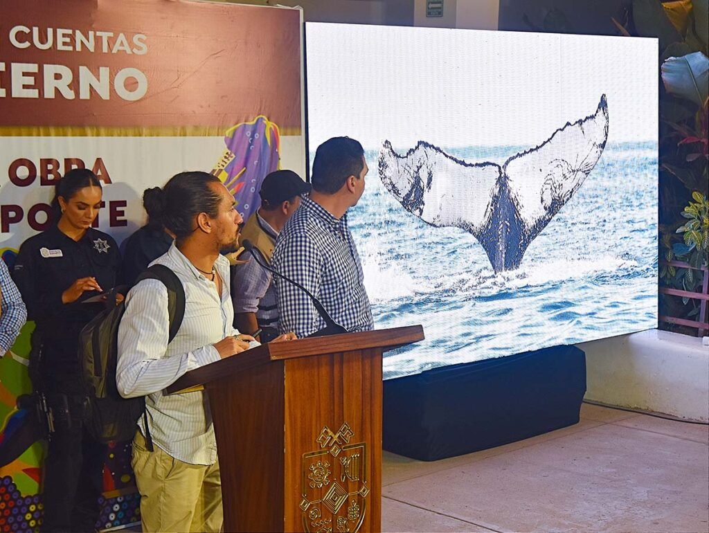 Héctor Santana rinde cuentas y entrega apoyos directos a la ciudadanía 9 rendicion de cuentas 130520250028