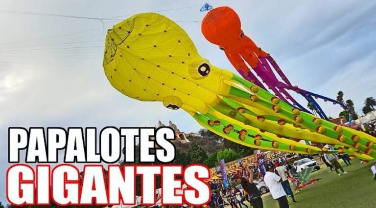 Invita Vallarta al Festival de Papalotes Gigantes de Greenpeace