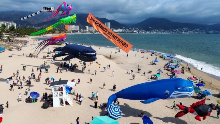 Greenpeace alza la voz en Vallarta: Sin océanos, no hay futuro