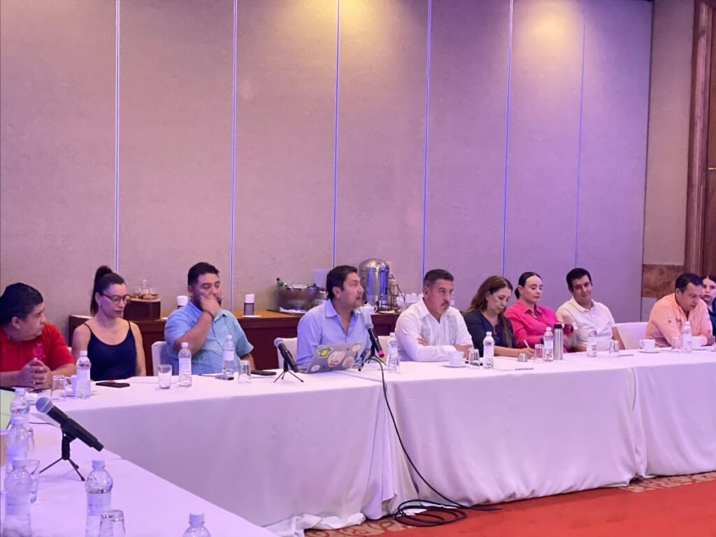 vallarta estrategias promocion 2