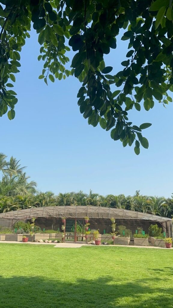 Casa Velas abre sus jardines al público con clases de yoga y experiencias de bienestar 2 yoga en casa velas puerto vallarta 4