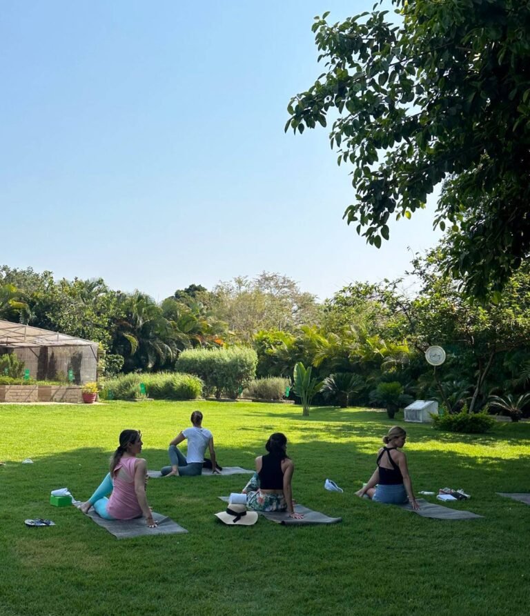 Casa Velas abre sus jardines al público con clases de yoga y experiencias de bienestar