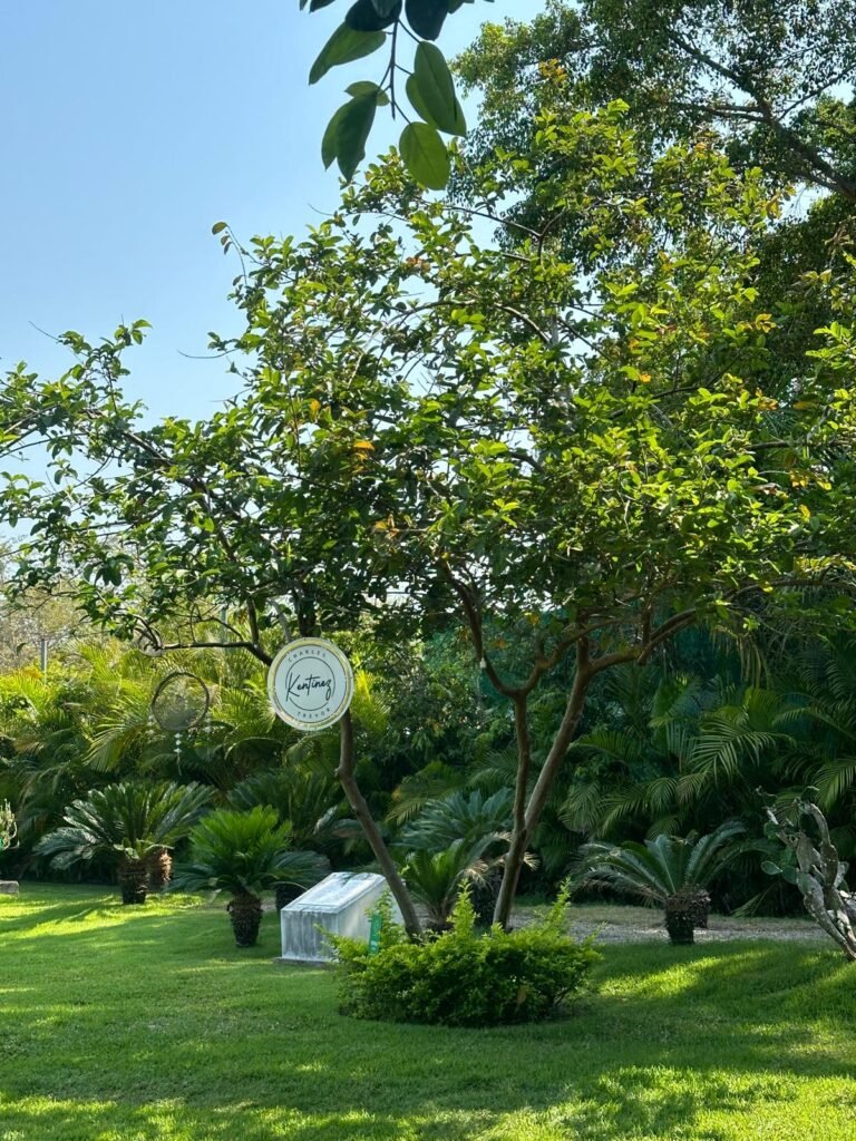 Casa Velas abre sus jardines al público con clases de yoga y experiencias de bienestar 3 yoga en casa velas puerto vallarta