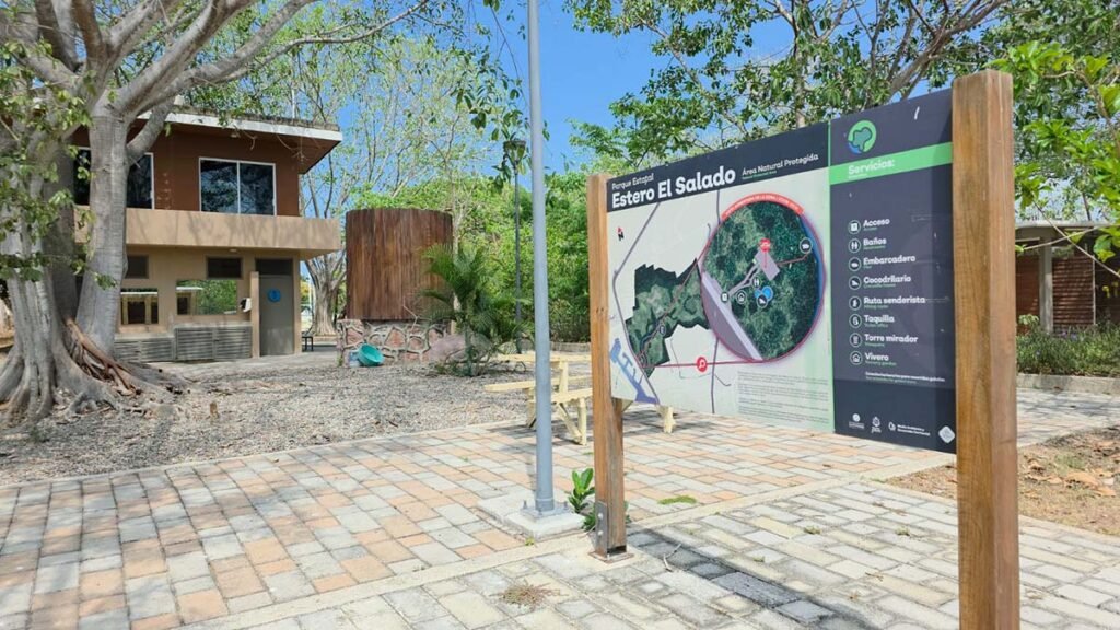 Estero El Salado se alista para reactivar recorridos en lancha 2 Reactivarán recorridos en lancha en el Estero El Salado, humedal clave en Puerto Vallarta.