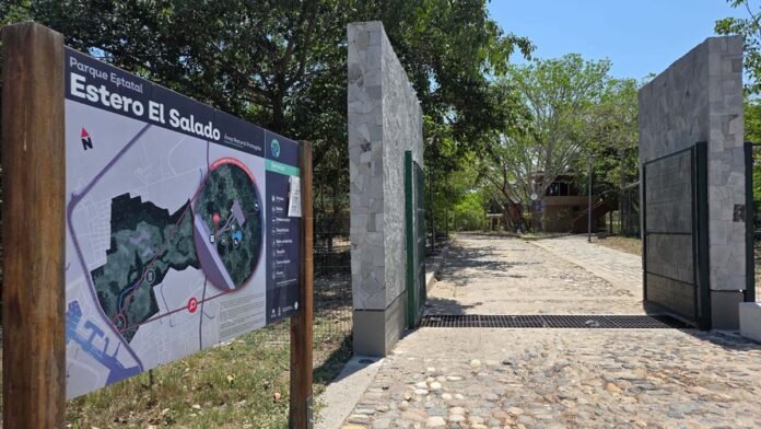 Reactivarán recorridos en lancha en el Estero El Salado, humedal clave en Puerto Vallarta.