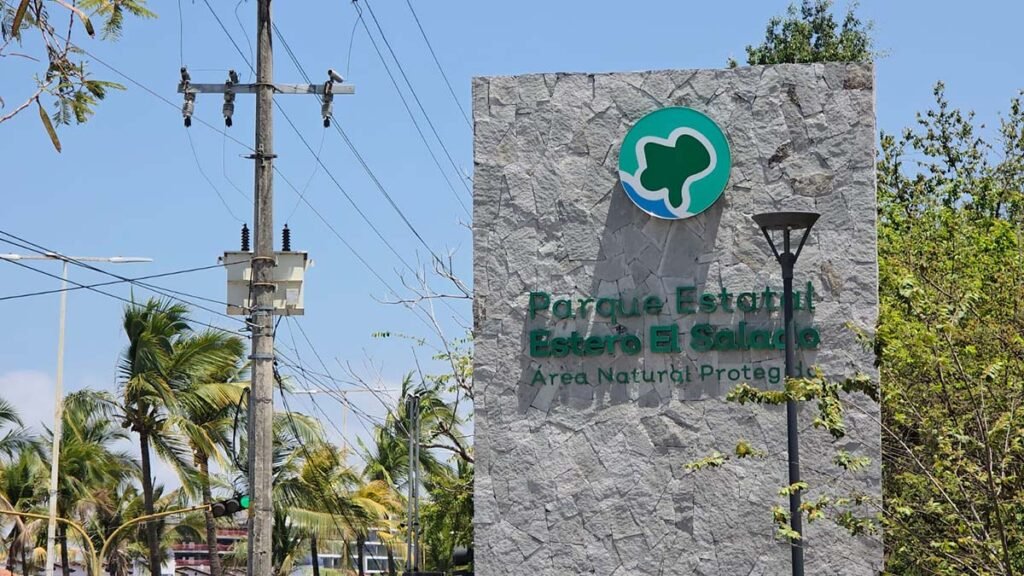 Estero El Salado se alista para reactivar recorridos en lancha 1 Reactivarán recorridos en lancha en el Estero El Salado, humedal clave en Puerto Vallarta.
