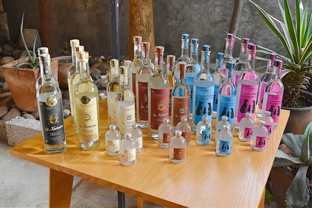 Raicilla, sabores y raíces: una experiencia con alma mexicana en Vallarta Tequila Tastings 2 Botellas de raicilla.