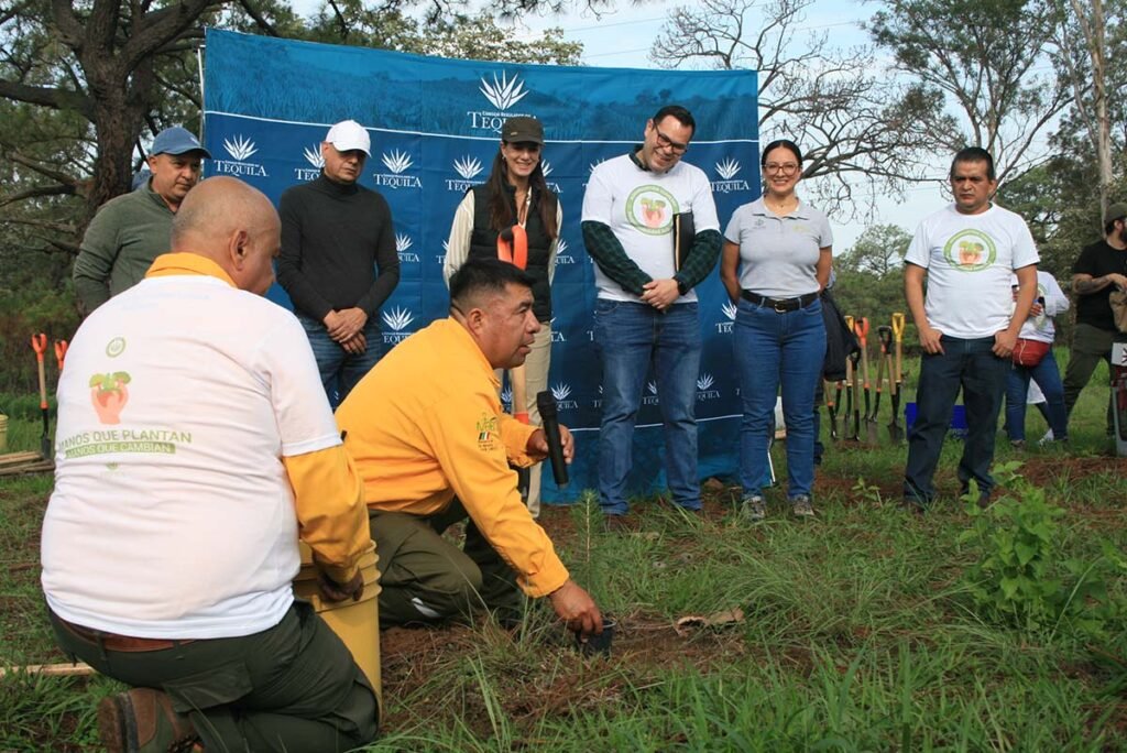 Agroindustria tequilera reforesta el Bosque La Primavera.
