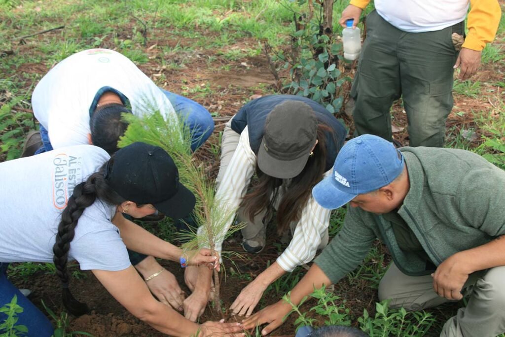 Agroindustria tequilera reforesta el Bosque La Primavera.