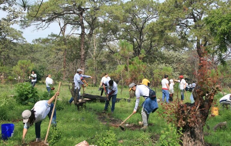 Agroindustria tequilera reforesta el Bosque La Primavera y refuerza su compromiso ambiental