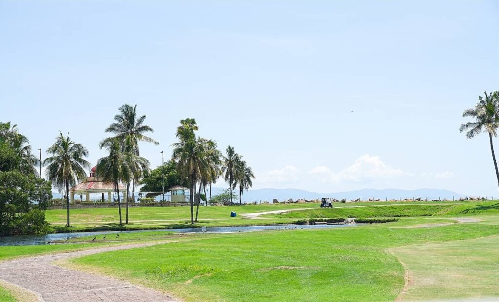Marina Vallarta Golf Club renueva sus 18 greens y anuncia inversión millonaria 1 Marina Vallarta Golf en Puerto Vallarta.