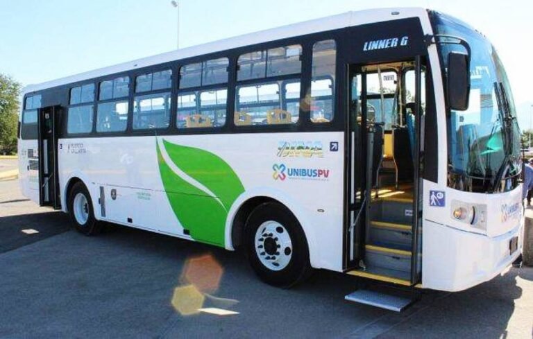 Marina Vallarta estrena transporte gratuito para descubrir su encanto sin prisas