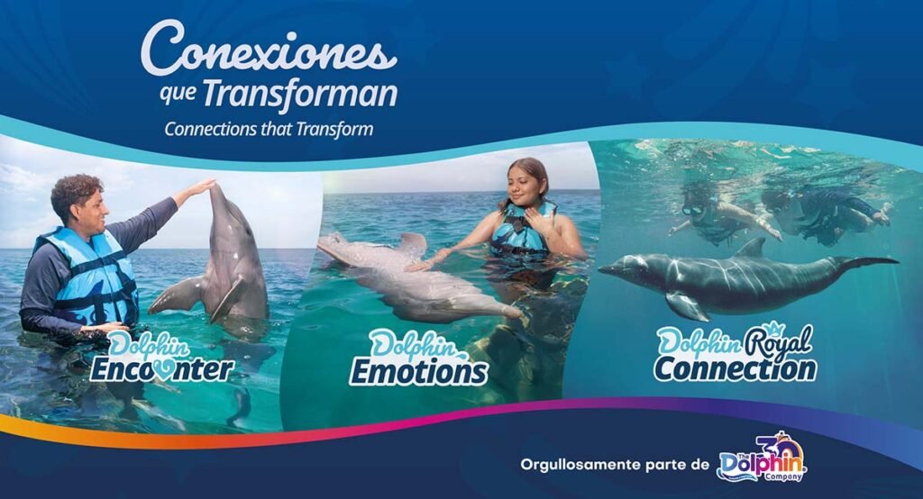 Dolphin Discovery presenta experiencias que transforman con delfines 1 Dolphin Discovery presenta experiencias.