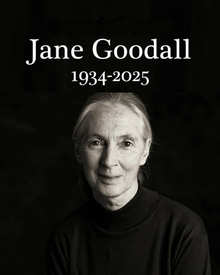 Muere Jane Goodall, la científica que cambió para siempre la forma de entender a los animales