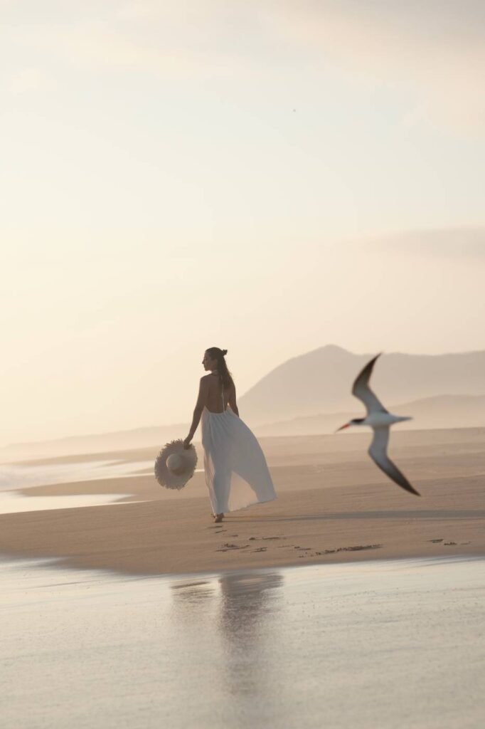 Actur obtiene crédito con Bancomext para fondear construcción del hotel Six Senses Xala 1 Actur Bancomext Xala 5