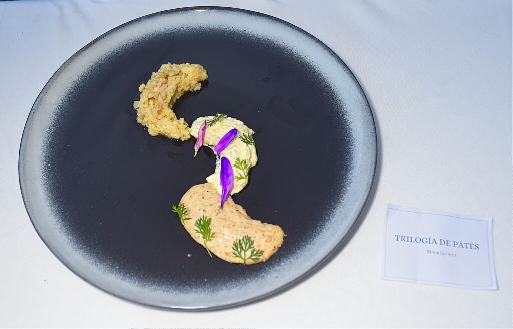 La UTBB presenta CEMPO: 20 razones para amar Nayarit, una propuesta gastronómica única 11 CEMPO Gastronomia UTBB0034