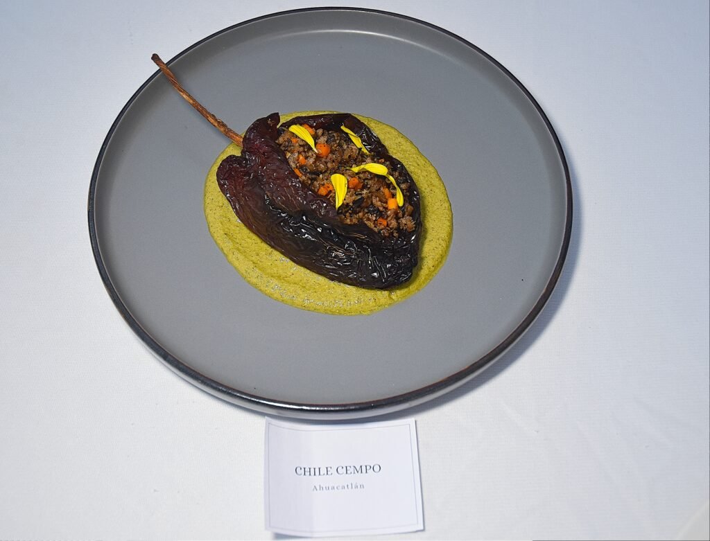 La UTBB presenta CEMPO: 20 razones para amar Nayarit, una propuesta gastronómica única 13 CEMPO Gastronomia UTBB0040