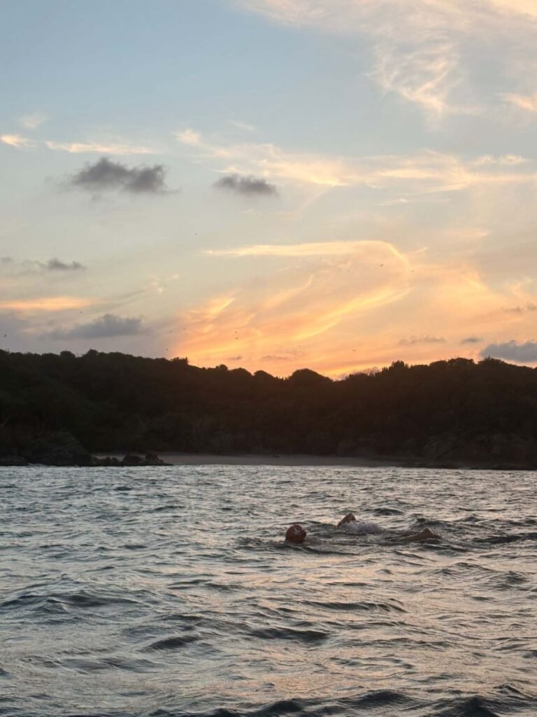 Nado por las Ballenas presenta el Reto Mar y Montaña 2025.