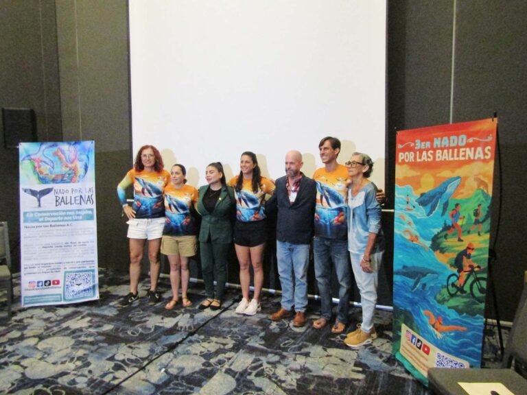 Nado por las Ballenas presenta el Reto Mar y Montaña 2025