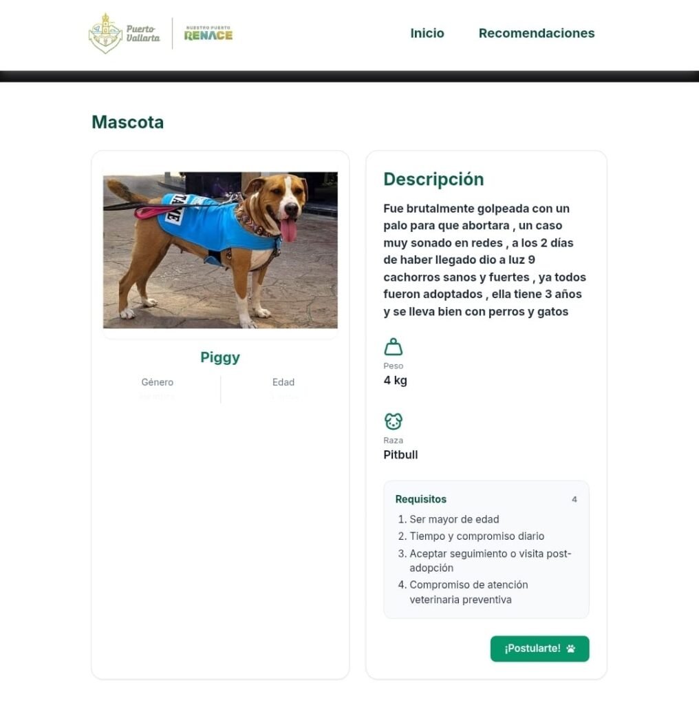 Plataforma digital fortalece el bienestar animal.