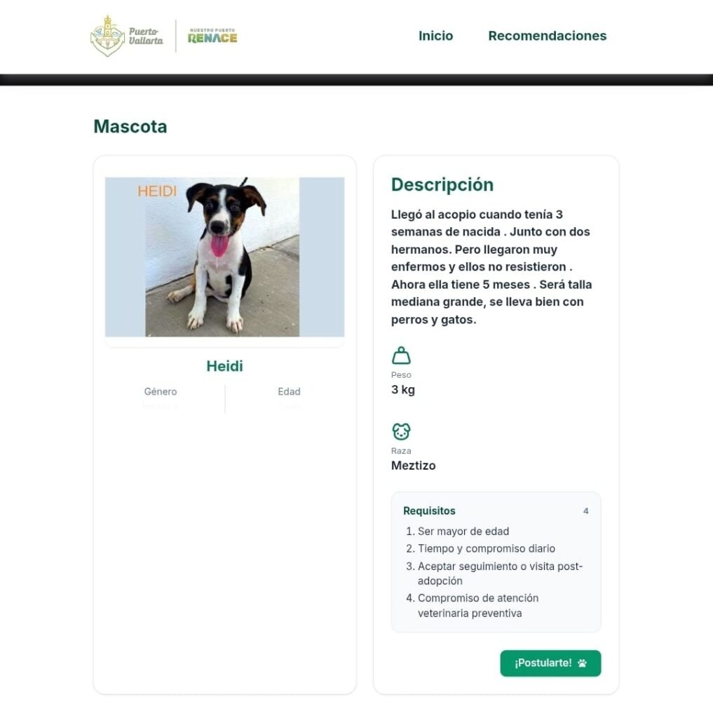 Plataforma digital fortalece el bienestar animal.