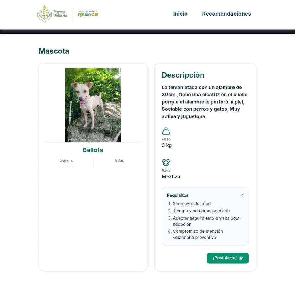 Plataforma digital fortalece el bienestar animal.