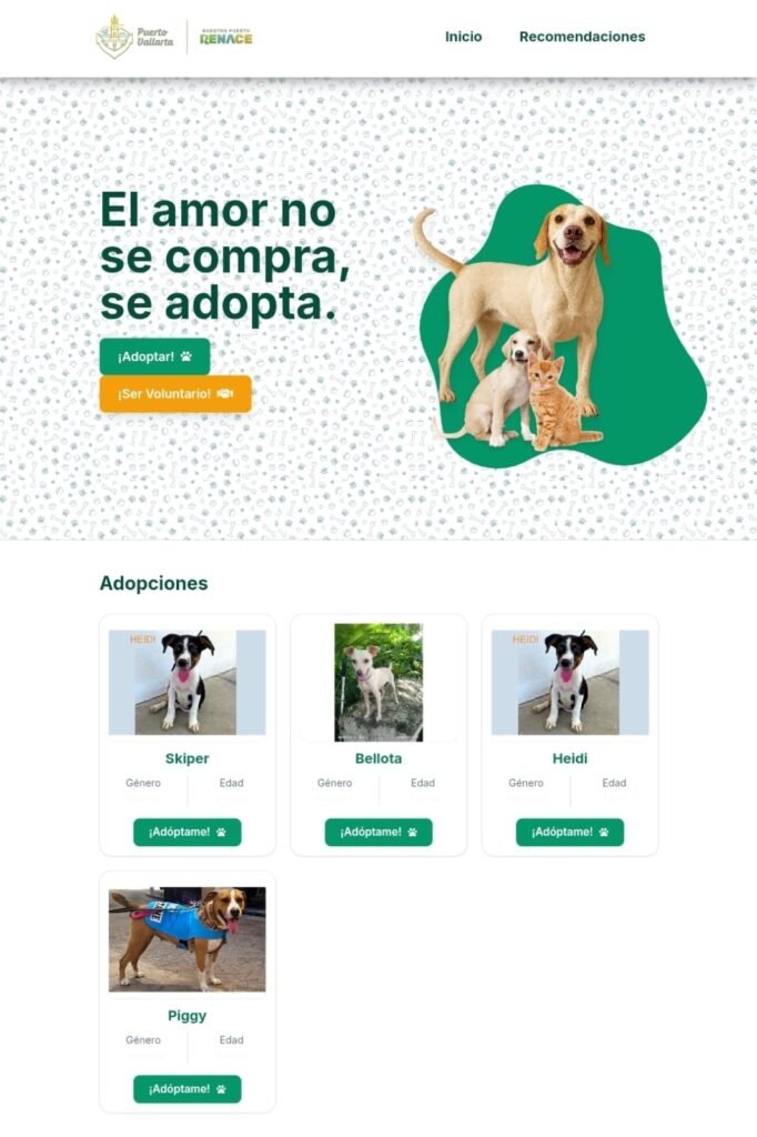 Plataforma digital fortalece el bienestar animal.