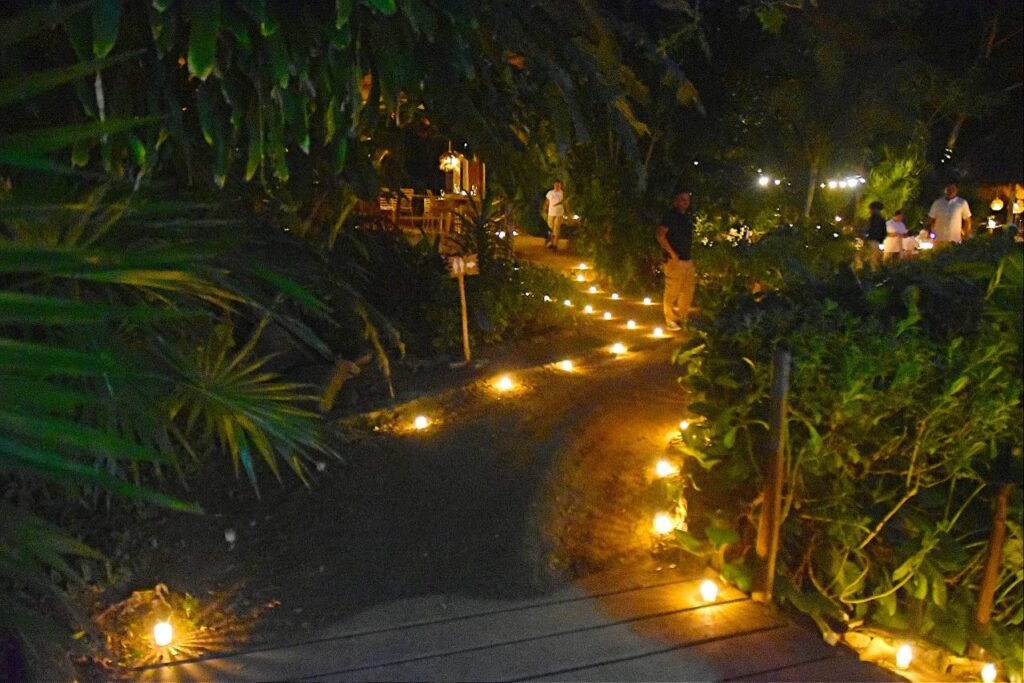 Premier Gastronomic Journey: la nueva experiencia gastronómica de ALMA, Ritmos de la Noche 21 Ritmos de la Noche0025