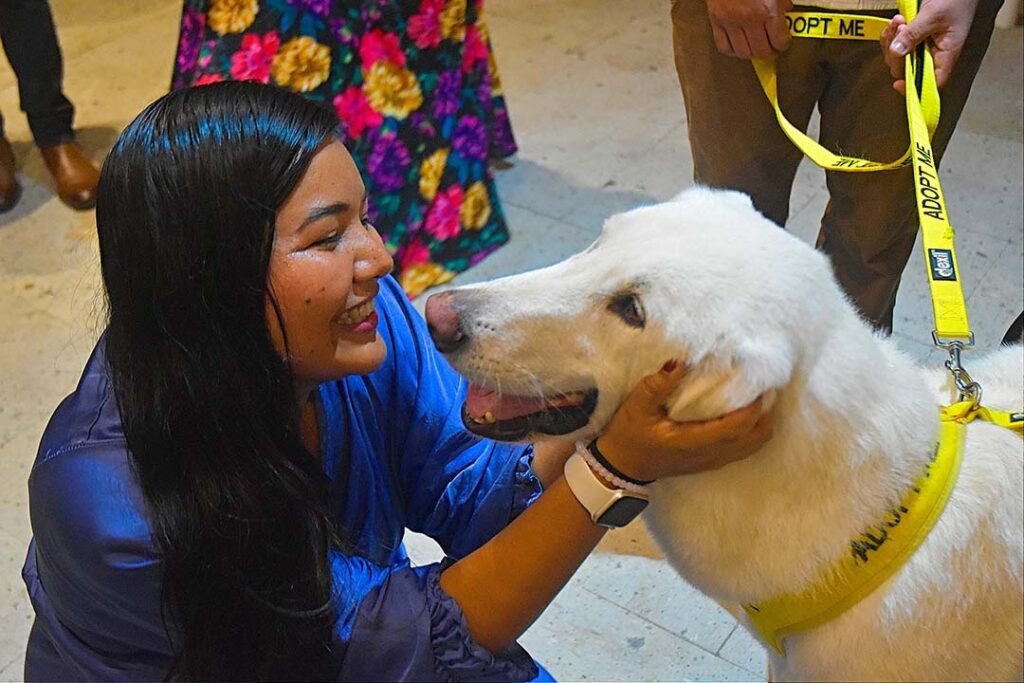 Fundación Yvonneka transforma vidas caninas y conciencia social en Puerto Vallarta 13 Yvonneka Foundation Event 2025.