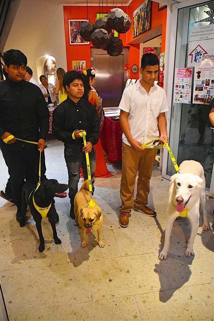 Fundación Yvonneka transforma vidas caninas y conciencia social en Puerto Vallarta 9 Yvonneka Foundation Event 2025.
