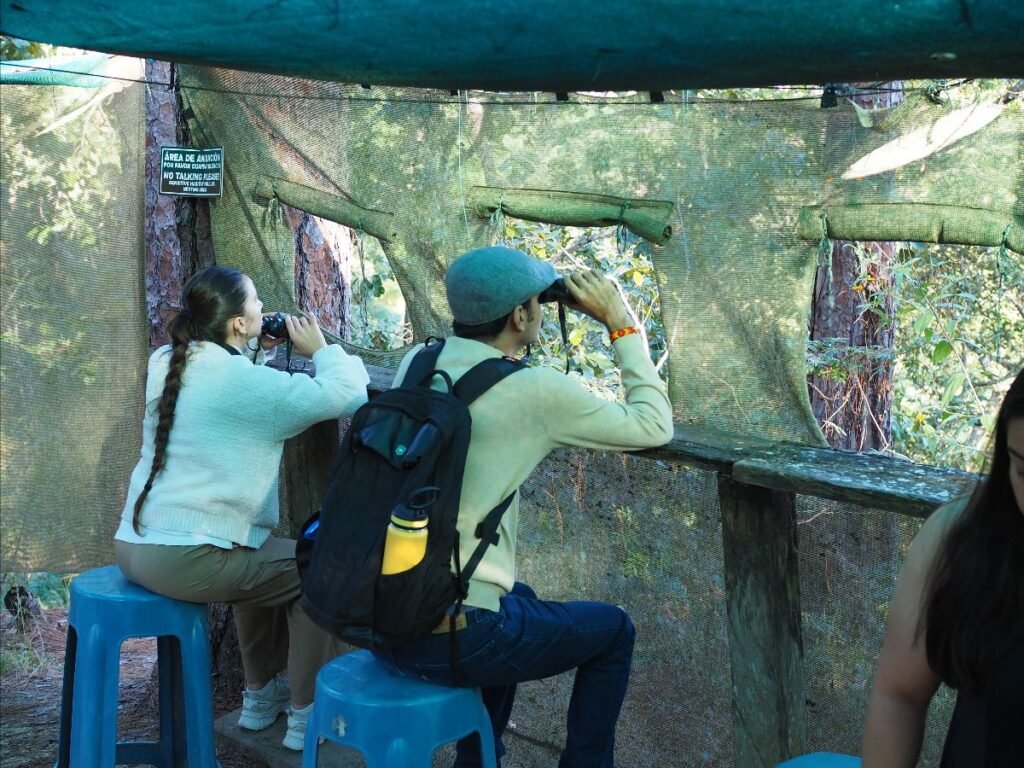 Santuario de las Guacamayas: un auténtico santuario natural en Puerto Vallarta 2 santuario de las guacamayas 6