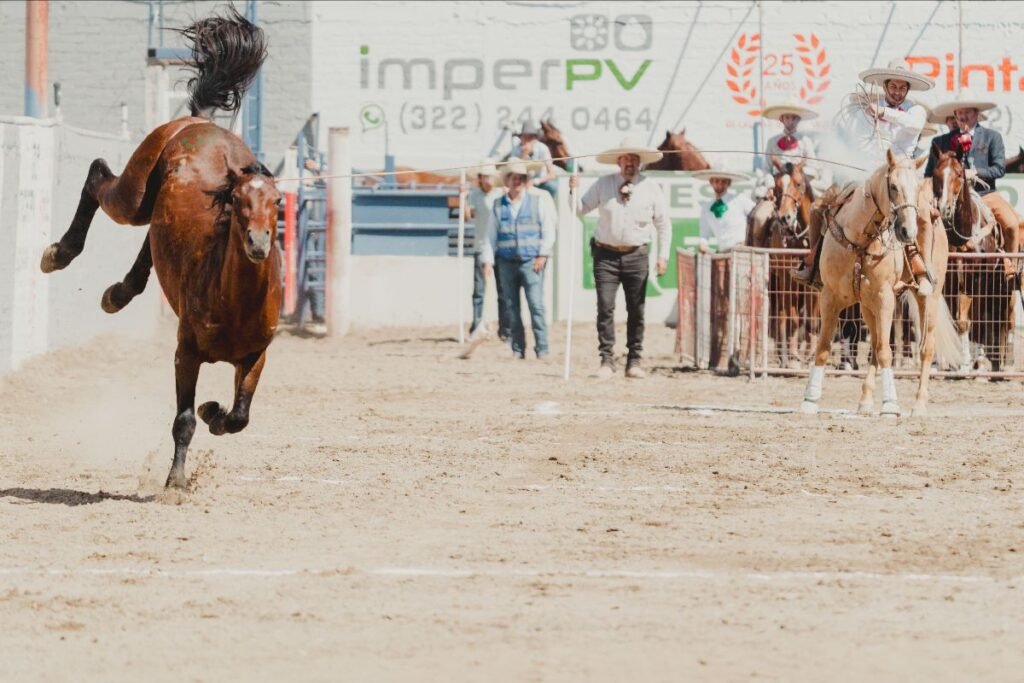 campeonato internacional charro vallarta 2026 5