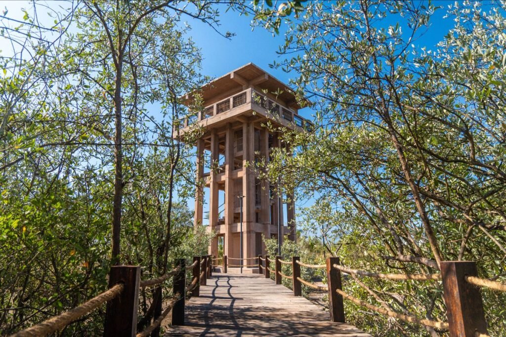 ANP Estero El Salado, un santuario natural que late en el corazón de Puerto Vallarta 3 estero el salado puerto vallarta 5