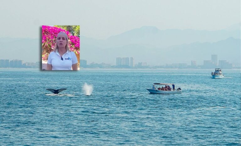 ECOBAC llama a reforzar la navegación responsable durante la temporada de ballenas